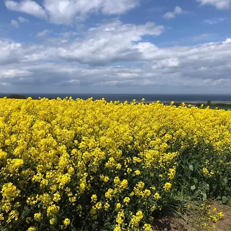 Apartament Skywalk 'le Kuebo' *